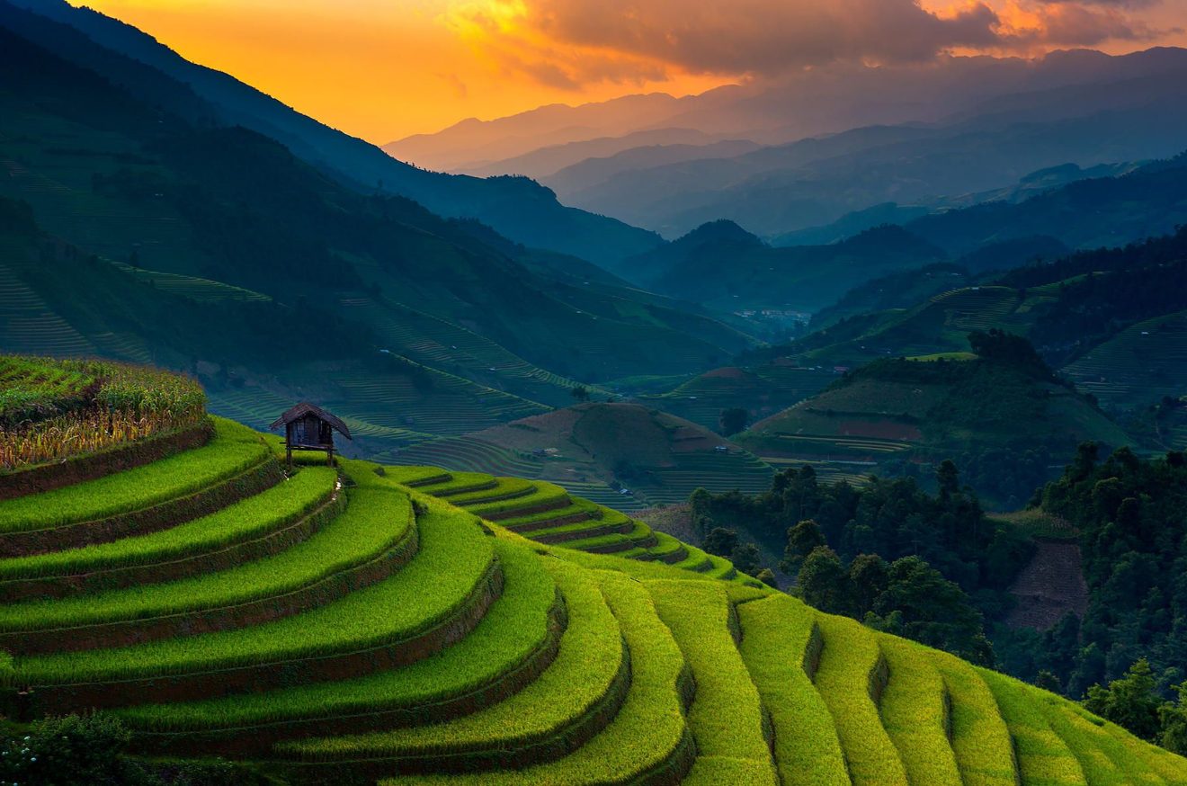 Terraced rice fields in the highlands of northern Vietnam at sunset